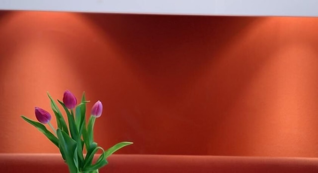 クレアティフ ホテル エレファント