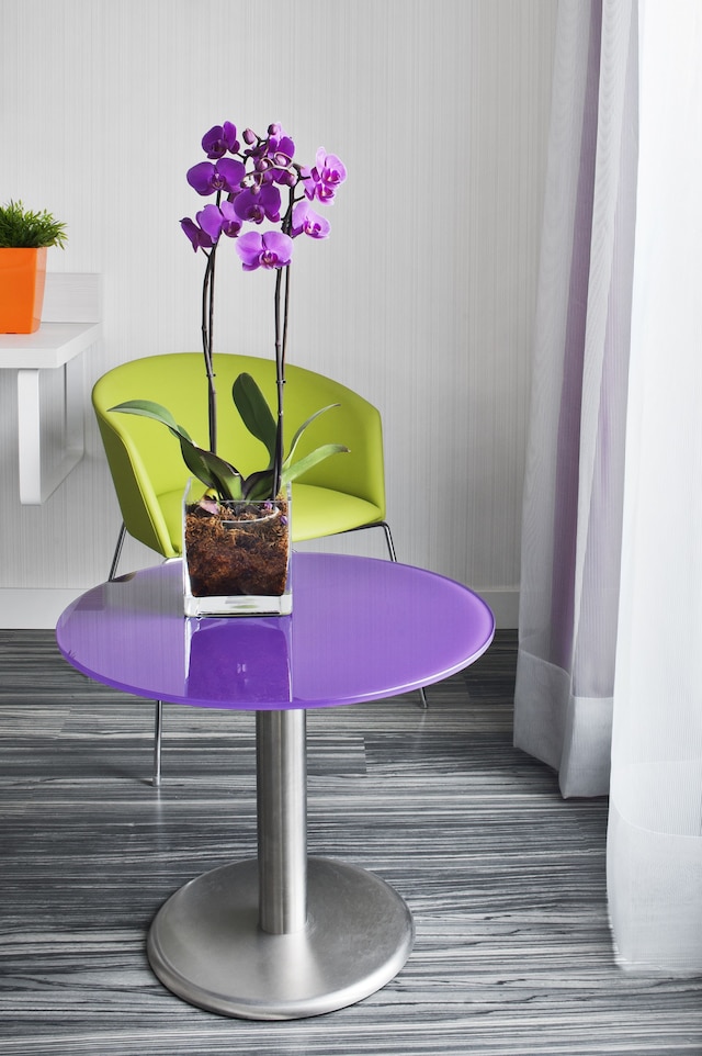 ホテル アイビス スタイル マドリッド プラド