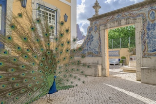 ソーラー ド カステロ ア リスボン ヘリテージ コレクション