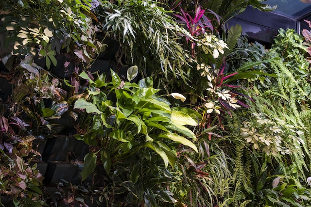 ホテル パス デ カレ