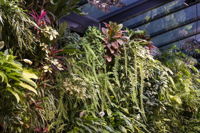 ホテル パス デ カレ