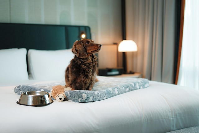 ソフィテル モントリオール ゴールデン マイル