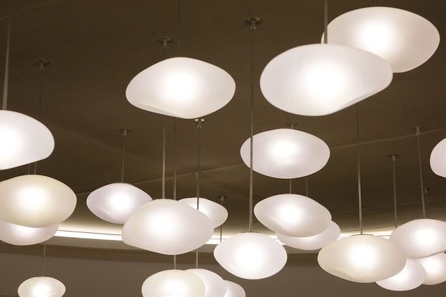 オセアニア レンヌ