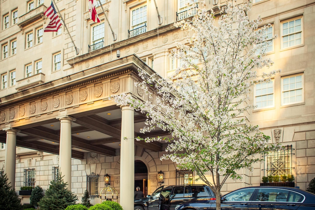 10.ザ ヘイアダムス