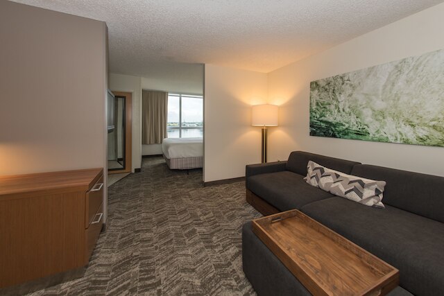 スプリングヒル スイーツ バイ マリオット・マイアミ・エアポート サウス ブルー ラグーン・エリア