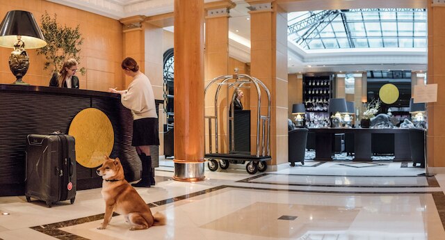 ハイアット パリ マドレーヌ