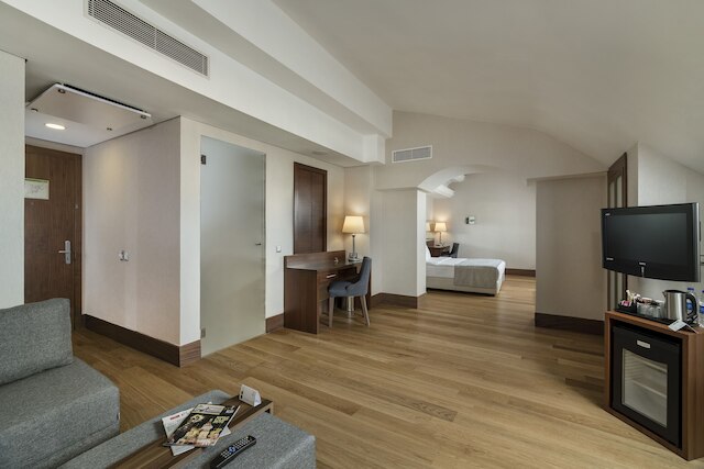 ホリデイ イン イスタンブール - オールドシティ by IHG