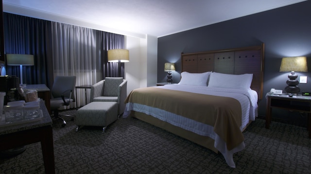 ホリデイ イン シウダッド デ メキシコ-トレード センター by IHG