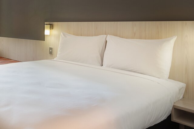 イビス ウェリントン