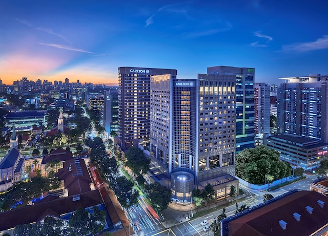 カールトン ホテル シンガポール