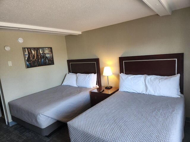 クイーン シティ イン