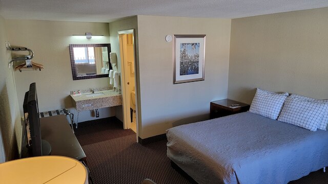 クイーン シティ イン