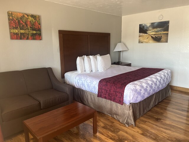 レッド カーペット イン メドフォード