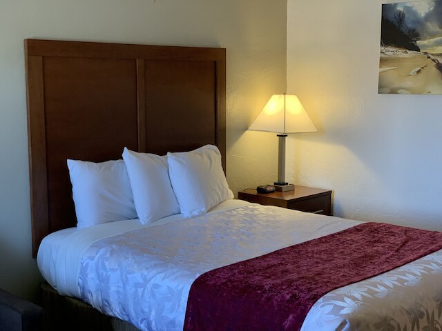 レッド カーペット イン メドフォード