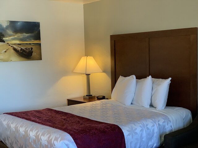 レッド カーペット イン メドフォード