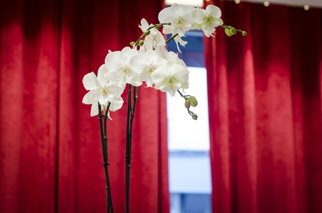 ホテル ミニー オペラ モンマルトル