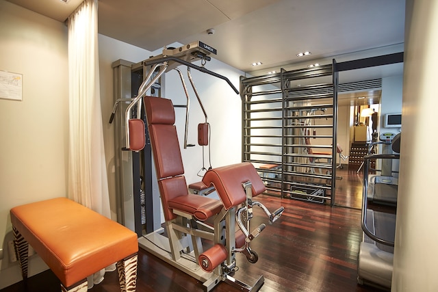 シナ ザ グレイ