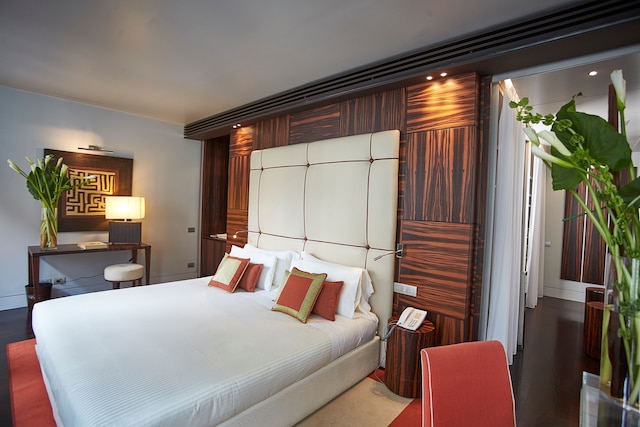 シナ ザ グレイ