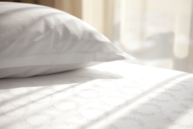 シェラトン・サイゴン・グランド・オペラ・ホテル