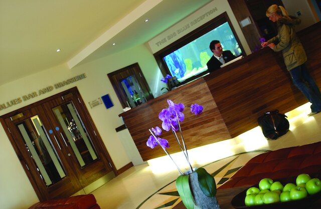 ビッグ ブルー ホテル