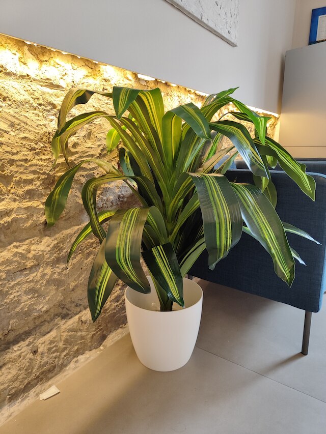 アイデアル シティ ウォーク