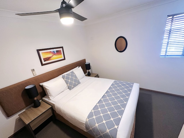 クエスト アスコット