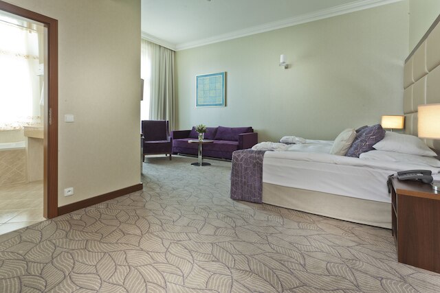 コシャー ホテル キング デイビッド プラハ