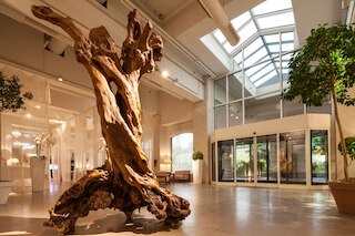 コスモ ホテル パレス