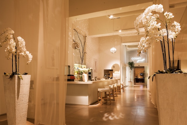 コスモ ホテル パレス