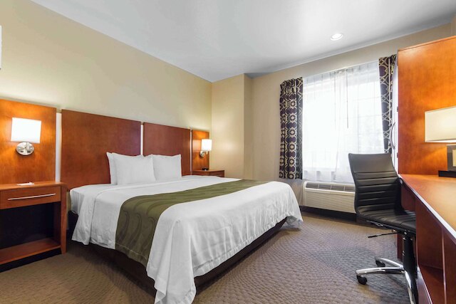 クオリティ イン サンホゼ エアポート / シリコン バレー