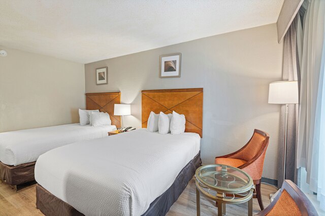 プランテーション イン オブ ホーマ