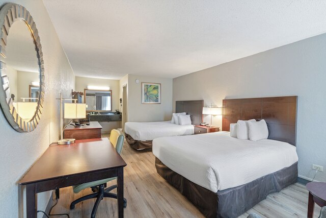 プランテーション イン オブ ホーマ