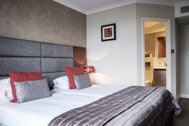 ザ フォックス & グース ホテル