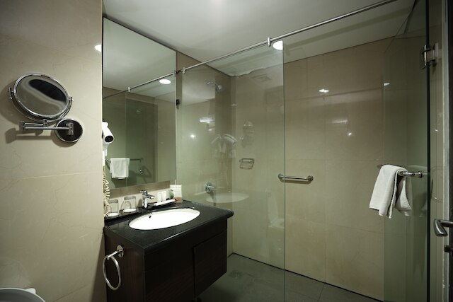 ベストウェスタン  プレミア ザ ハイブ