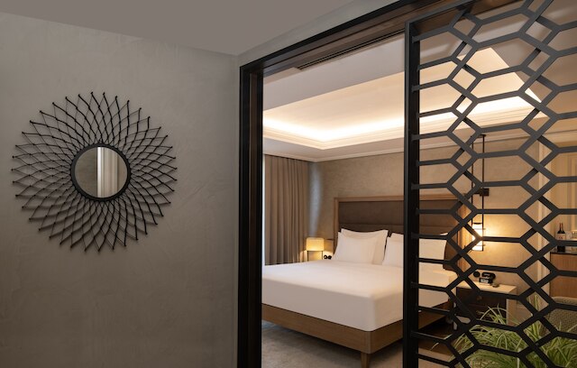 10 カラコイ イスタンブール - スペシャル クラス