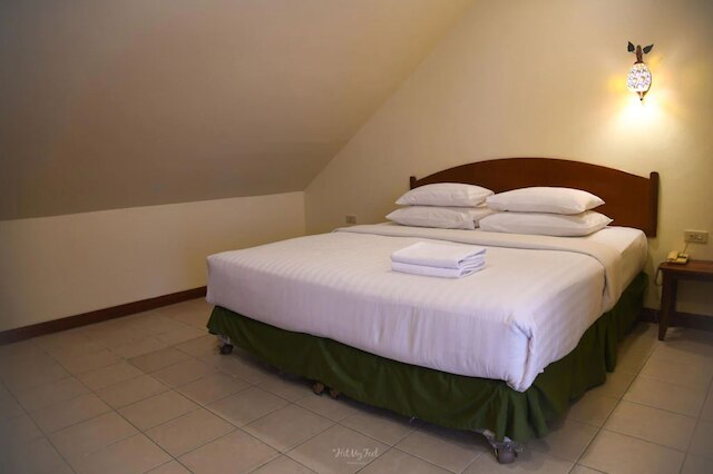 オペイ デ プレイス