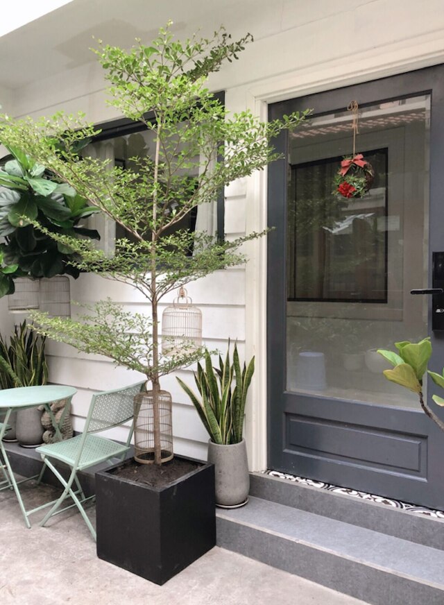 リリーズ ホステル