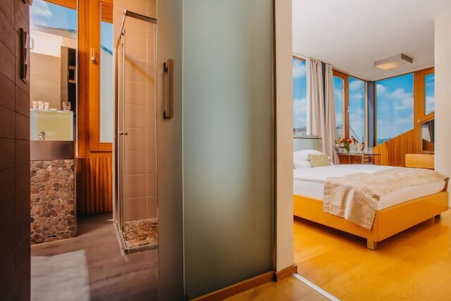 ヴァーツラフ広場ホテル - チェコの一流ホテル