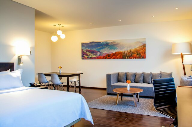 フィエスタ イン プラザ セントラル  アエロプエルト