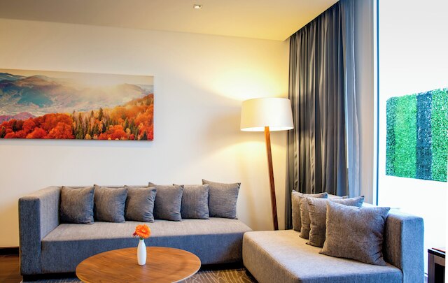 フィエスタ イン プラザ セントラル  アエロプエルト