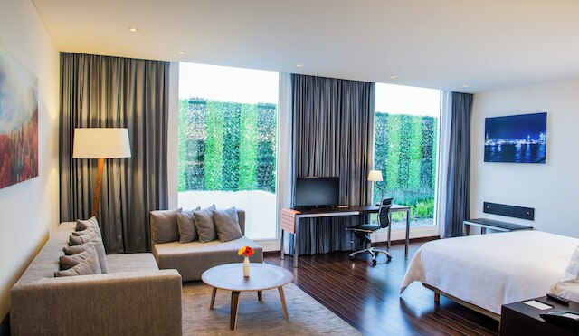 フィエスタ イン プラザ セントラル  アエロプエルト