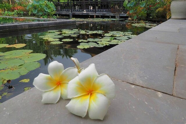 ビラ ホア ス - フランジパニ ビレッジ リゾート