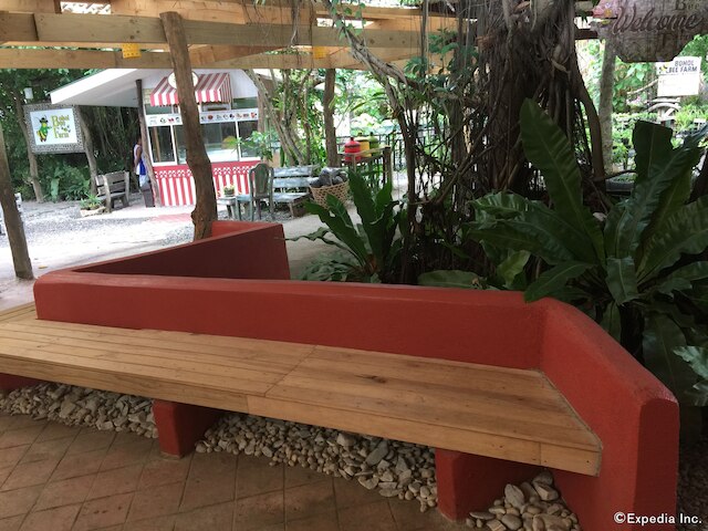 ボホール ビー ファーム