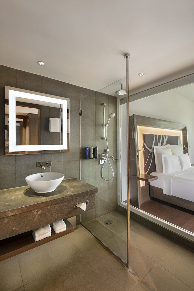 ノボテル ニューデリー アエロシティ ホテル