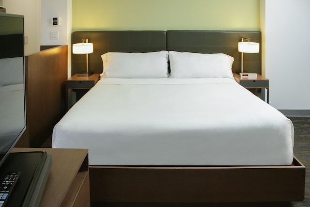 エレメント マイアミ ドラル