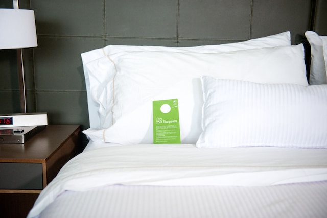 エレメント マイアミ ドラル