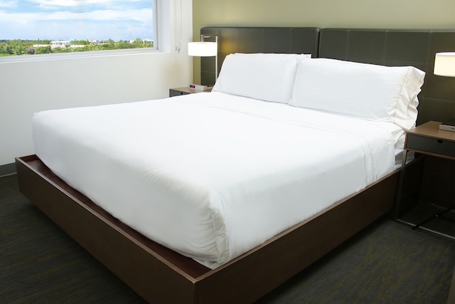 エレメント マイアミ ドラル