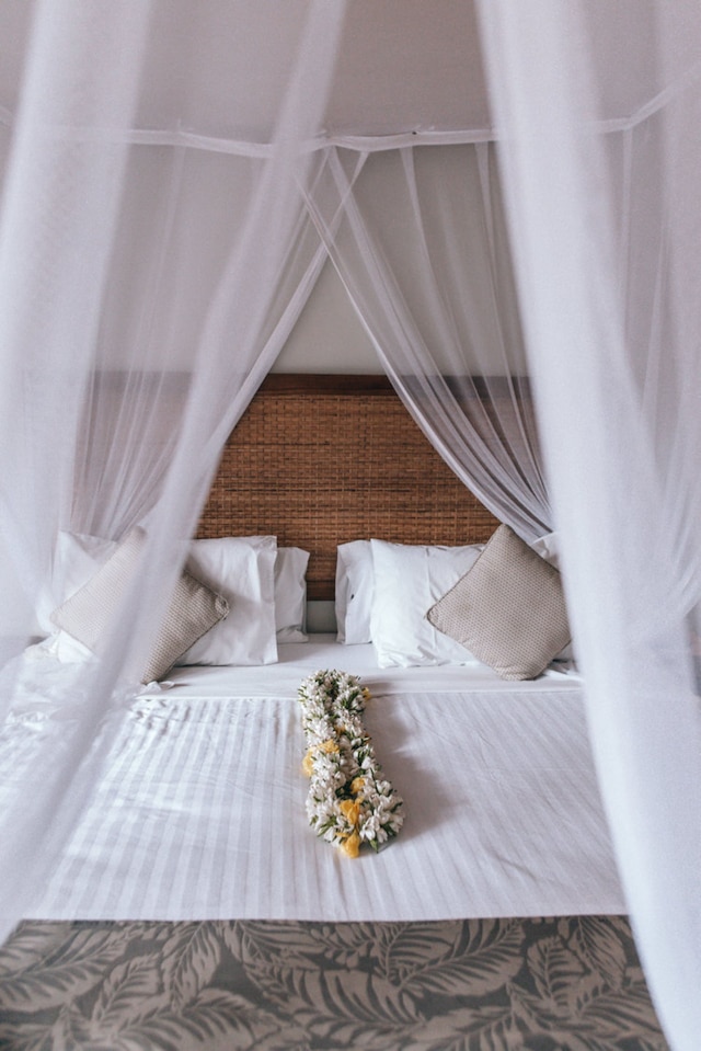 ナウティルス リゾート