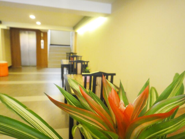 アリーフ バンコク ホテル