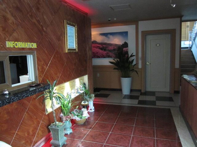 済州 オルレ ホテル